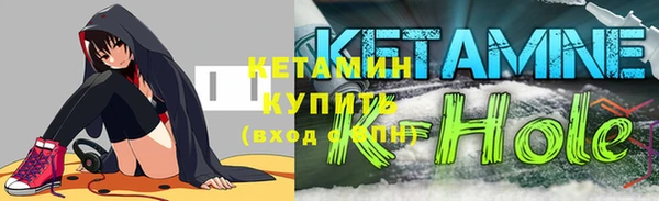 индика Осинники