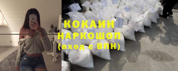 индика Осинники