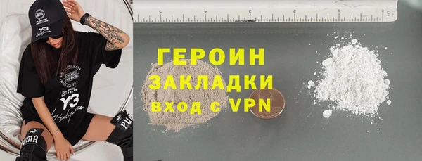 индика Осинники