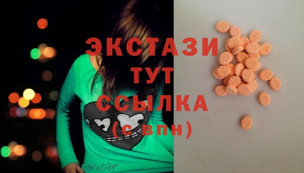 индика Осинники