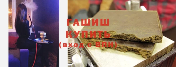 индика Осинники