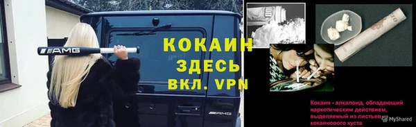 индика Осинники