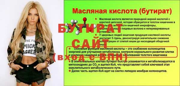 индика Осинники