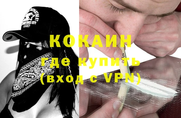 индика Осинники