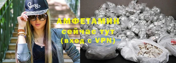 индика Осинники