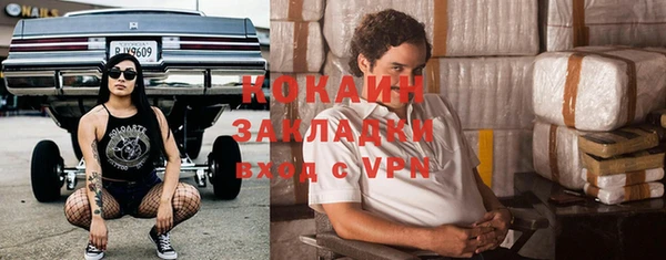 индика Осинники