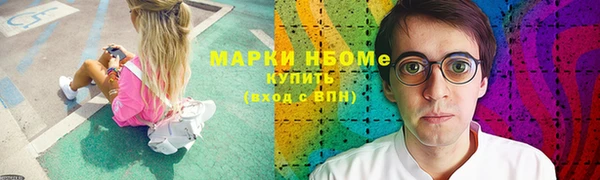 хмурый Пестово
