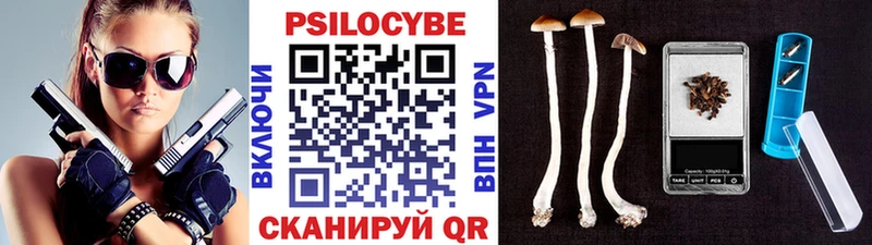купить наркоту  Краснознаменск  нарко площадка Telegram  Псилоцибиновые грибы Magic Shrooms 