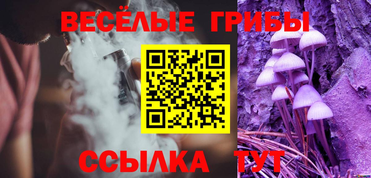 Галлюциногенные грибы GOLDEN TEACHER  Вход с VPN  Краснознаменск 