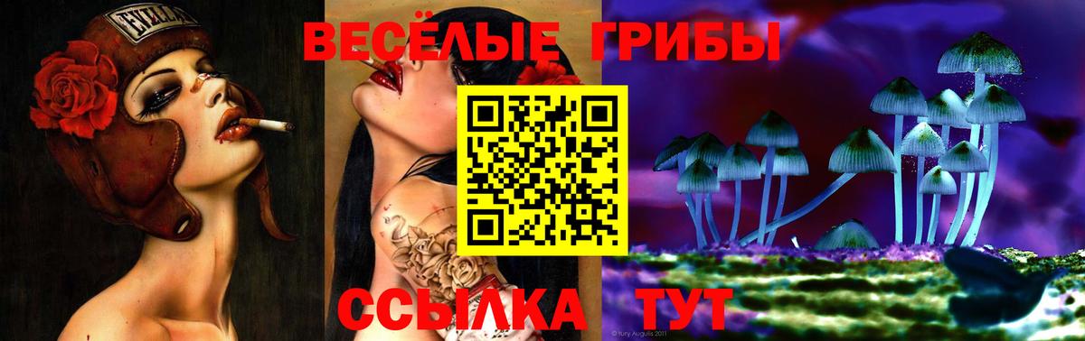 Галлюциногенные грибы MAGIC MUSHROOMS Краснознаменск